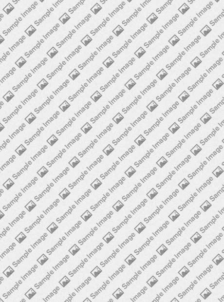 Gantry 5 supports both fluid and fixed responsive options